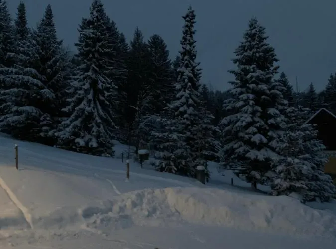 Rauschenbachmuehle بيت للعطل Arnsfeld